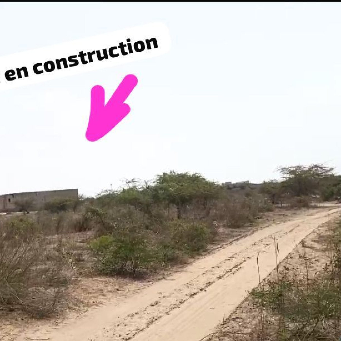 Annonce